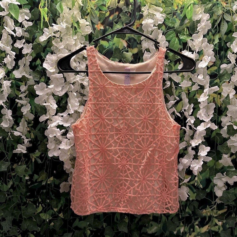 Small Alya Pink Embroidered Crop Top from Francesca’s